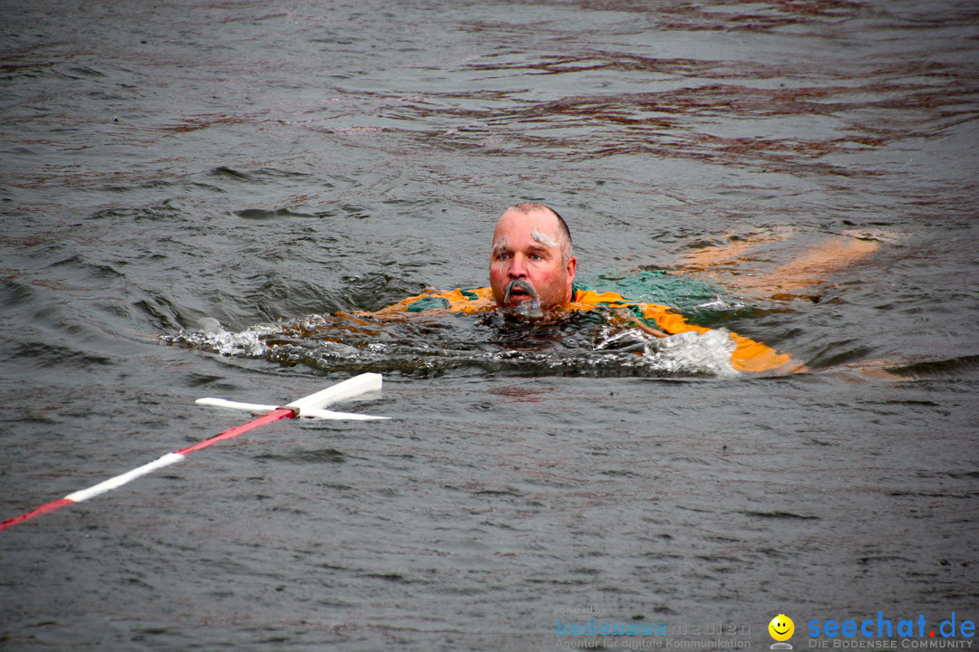 Uferfest und Fischerstechen: Langenargen am Bodensee, 03.08.2014