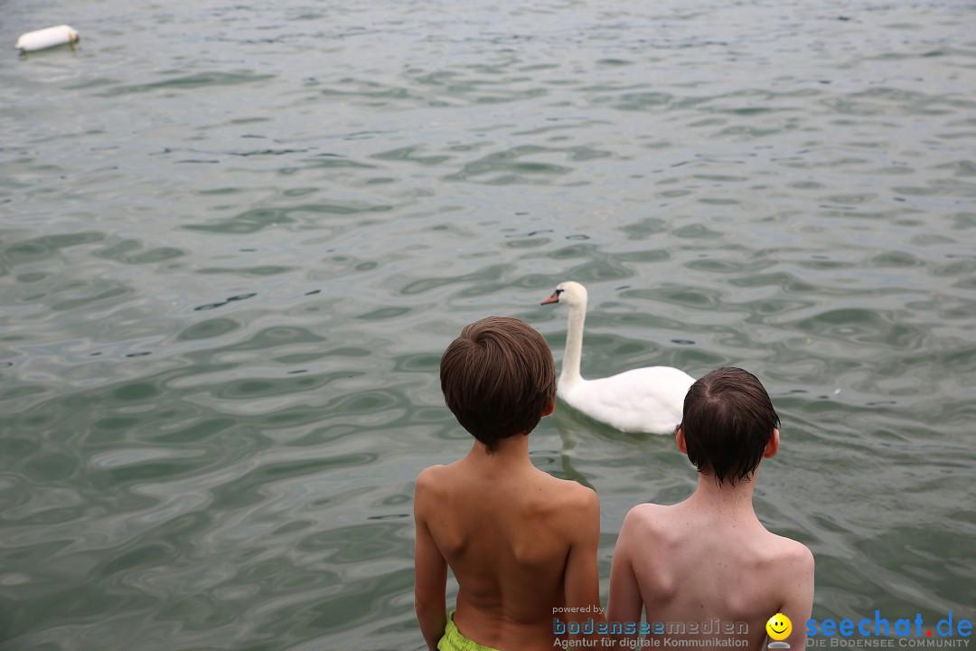 Badewannenrennen DLRG: Bodman-Ludwigshafen am Bodensee, 10.08.2014