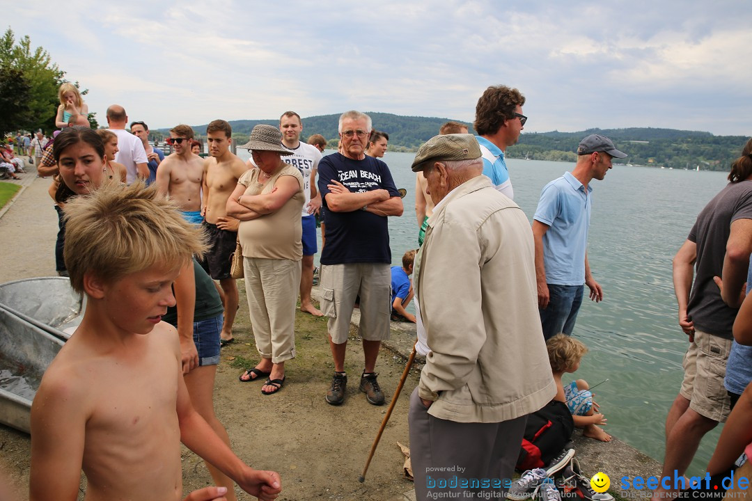 Badewannenrennen DLRG: Bodman-Ludwigshafen am Bodensee, 10.08.2014