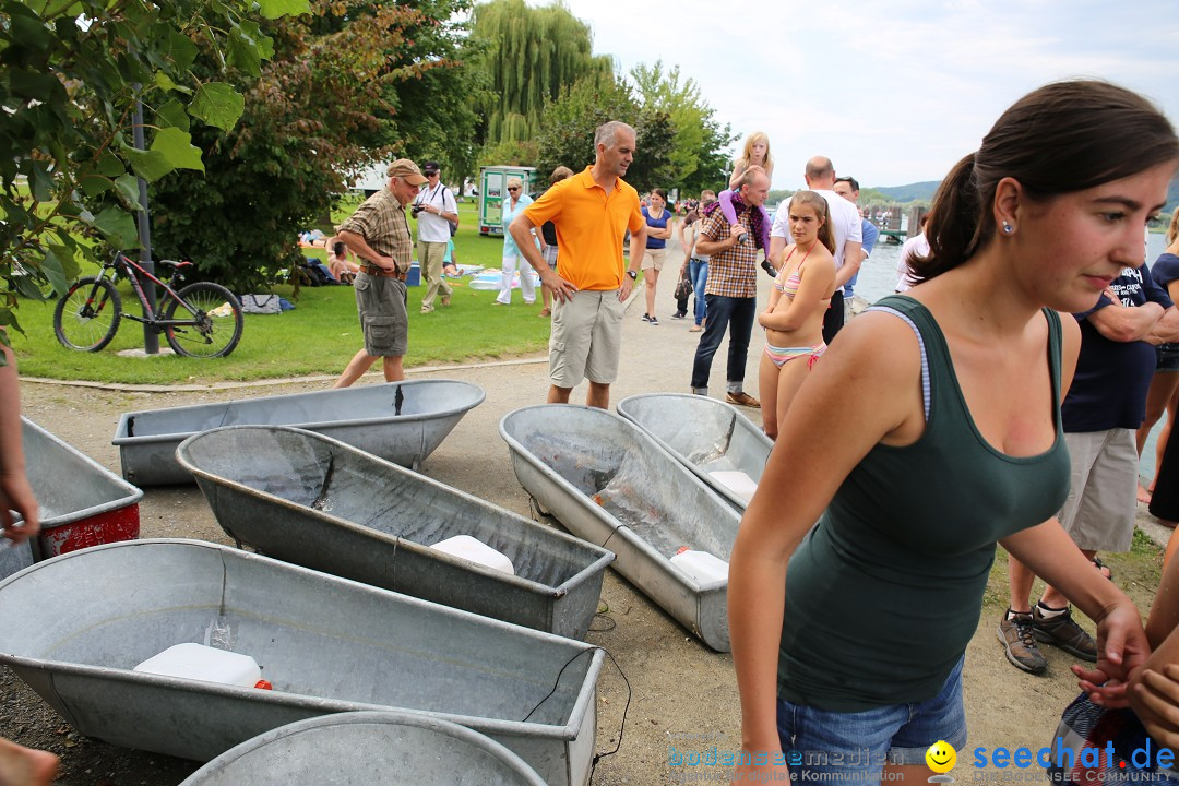 Badewannenrennen DLRG: Bodman-Ludwigshafen am Bodensee, 10.08.2014