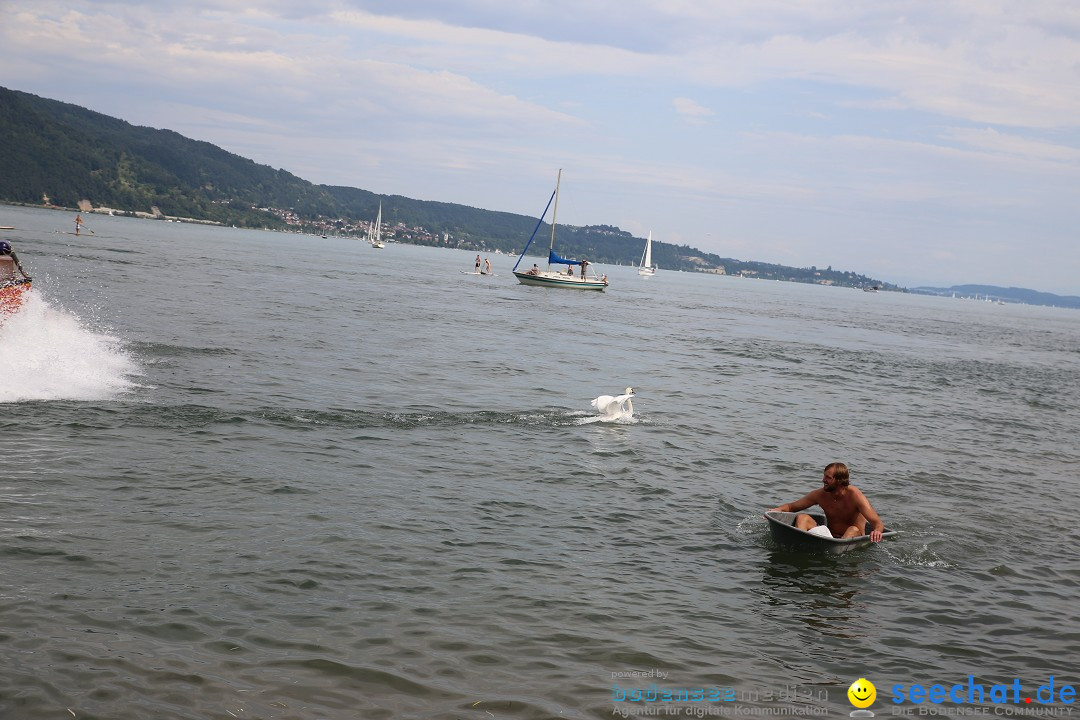 Badewannenrennen DLRG: Bodman-Ludwigshafen am Bodensee, 10.08.2014