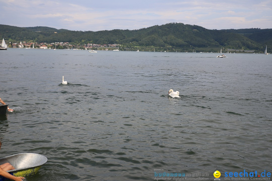 Badewannenrennen DLRG: Bodman-Ludwigshafen am Bodensee, 10.08.2014