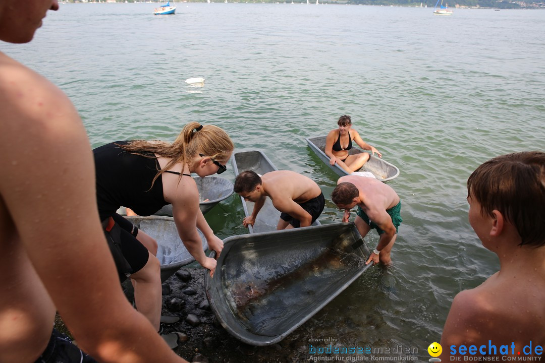 Badewannenrennen DLRG: Bodman-Ludwigshafen am Bodensee, 10.08.2014