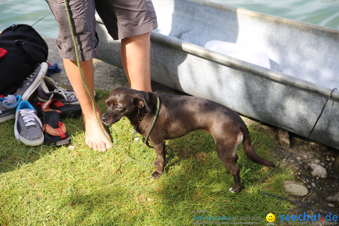 Badewannenrennen DLRG: Bodman-Ludwigshafen am Bodensee, 10.08.2014