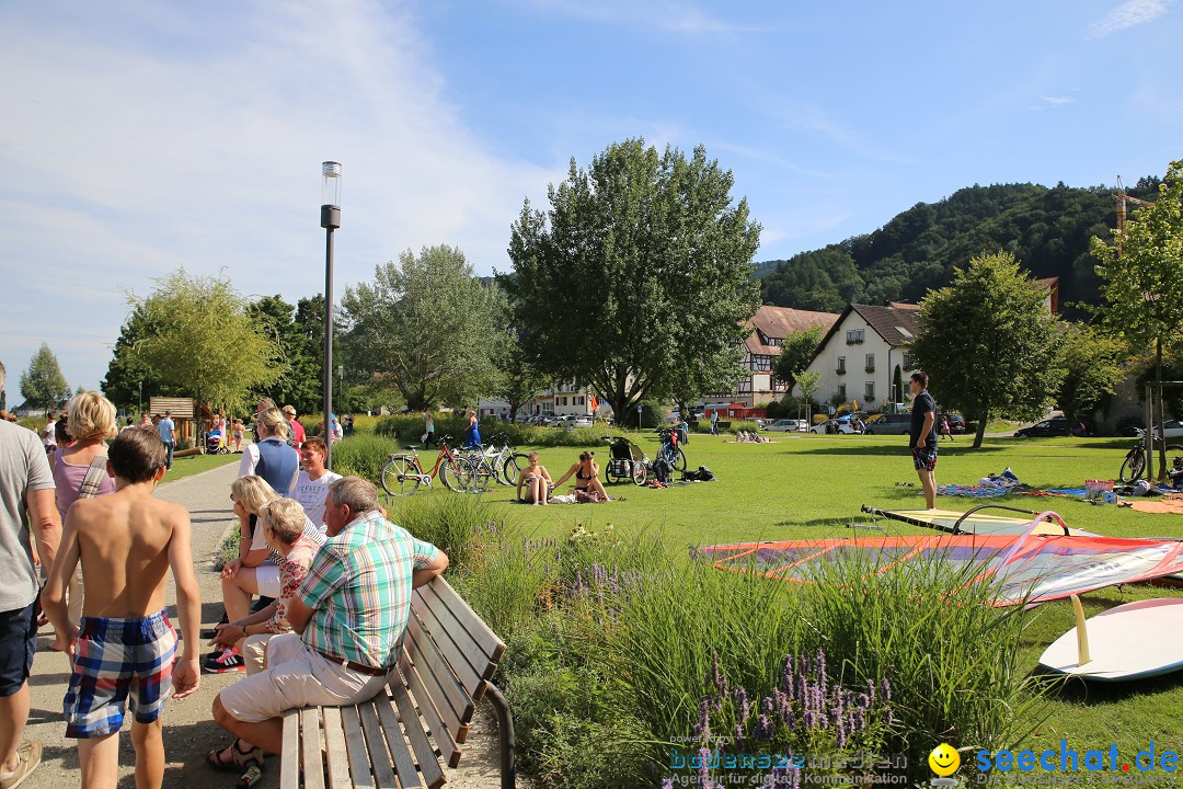 Badewannenrennen DLRG: Bodman-Ludwigshafen am Bodensee, 10.08.2014