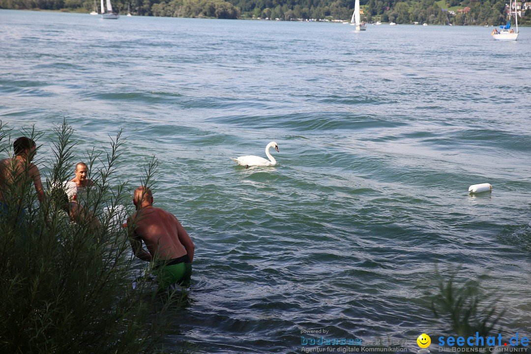 Badewannenrennen DLRG: Bodman-Ludwigshafen am Bodensee, 10.08.2014