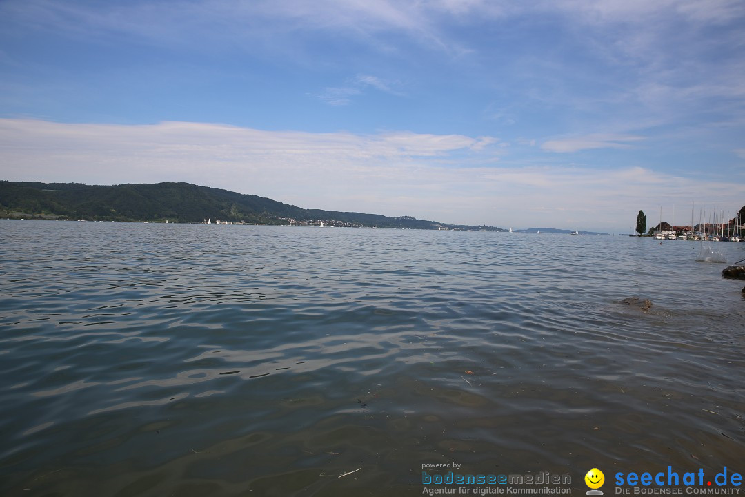 Badewannenrennen DLRG: Bodman-Ludwigshafen am Bodensee, 10.08.2014