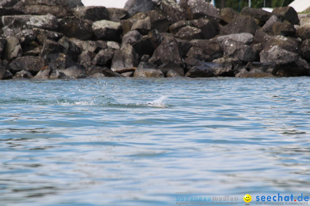 Bodensee Breitenquerung, Patrick und Uli: Romanshorn - FN, 12.08.2014