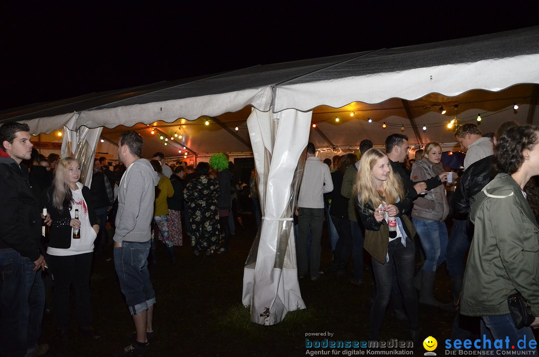 Riedparty in Berg bei Friedrichshafen am Bodensee, 15.08.2014