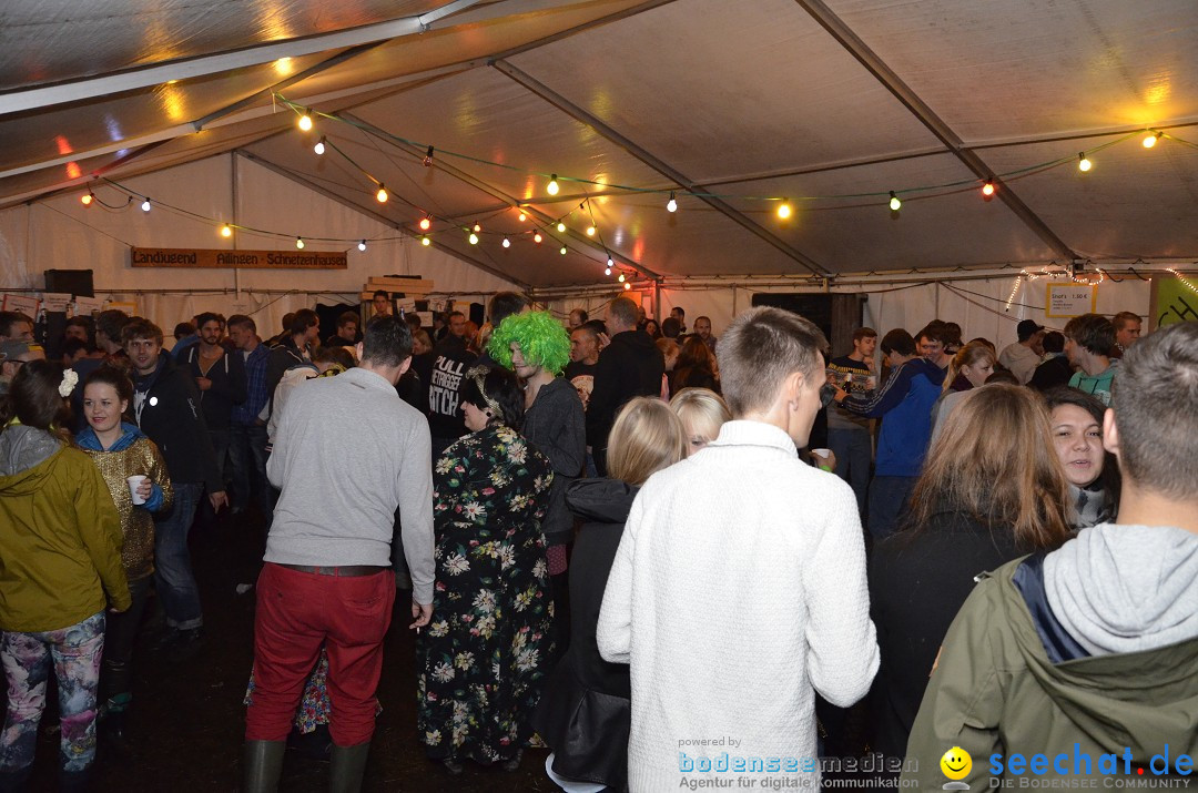 Riedparty in Berg bei Friedrichshafen am Bodensee, 15.08.2014