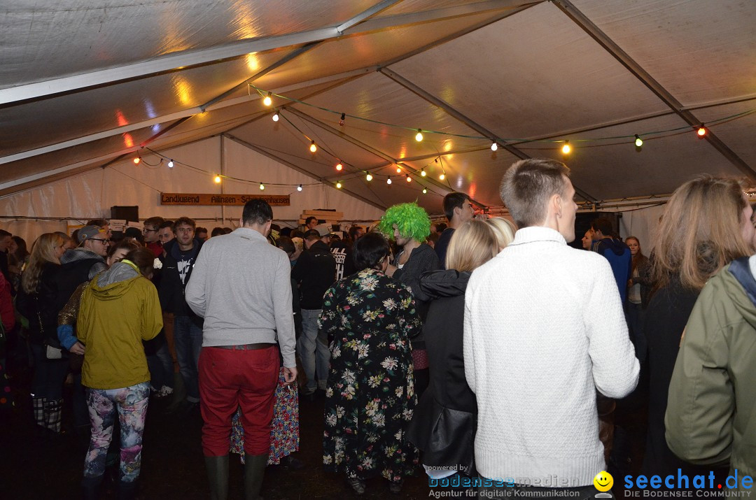 Riedparty in Berg bei Friedrichshafen am Bodensee, 15.08.2014