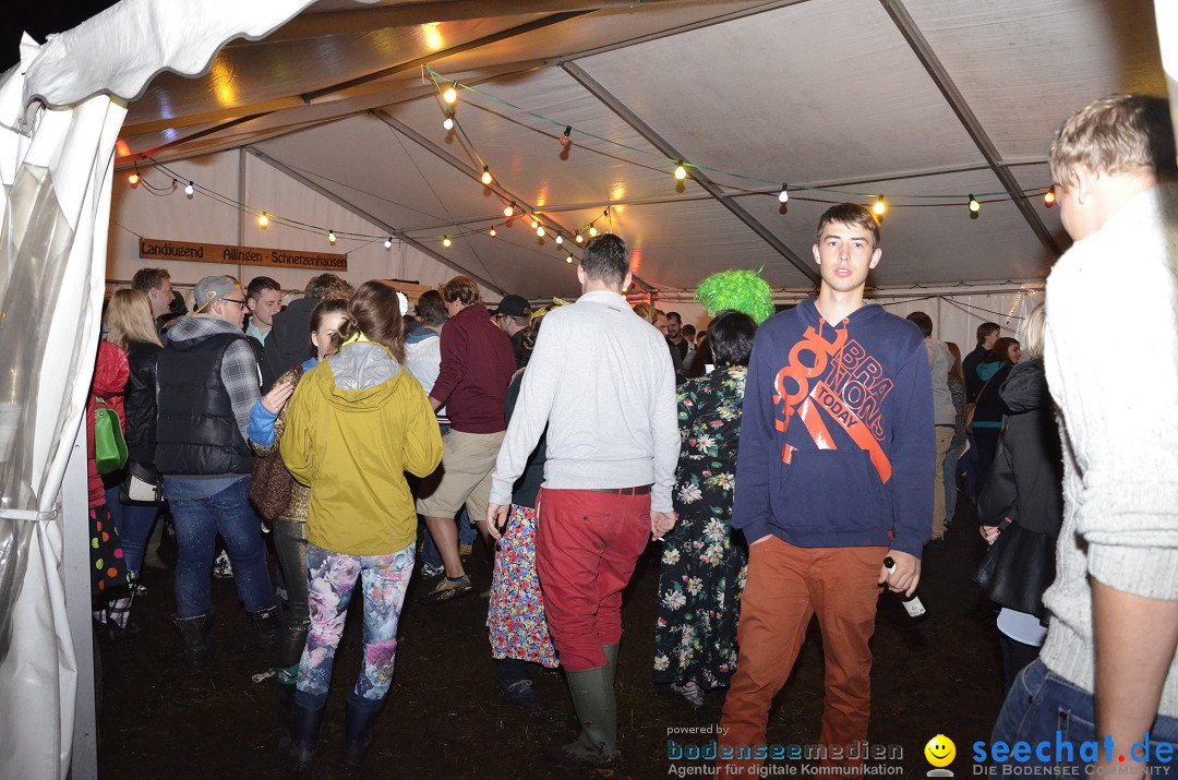 Riedparty in Berg bei Friedrichshafen am Bodensee, 15.08.2014