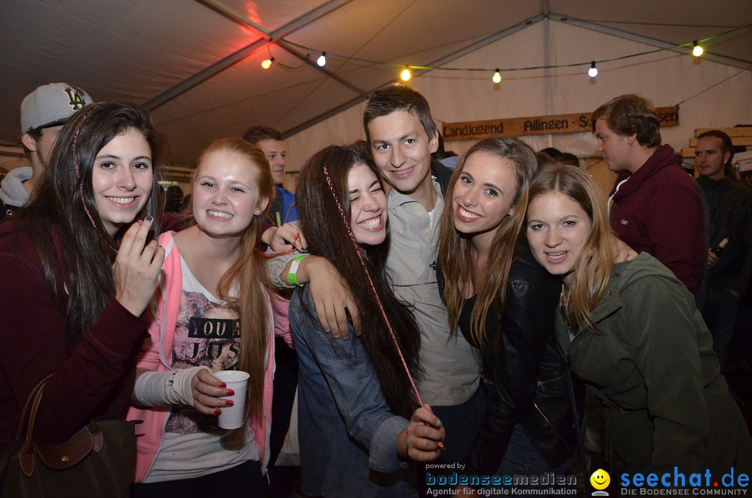 Riedparty in Berg bei Friedrichshafen am Bodensee, 15.08.2014