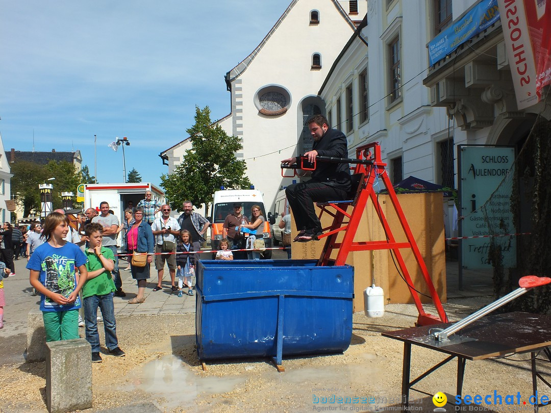 Flohmarkt: Aulendorf am Bodensee, 17.08.2014