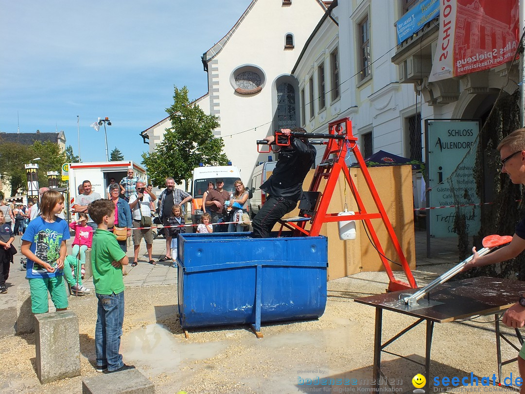 Flohmarkt: Aulendorf am Bodensee, 17.08.2014