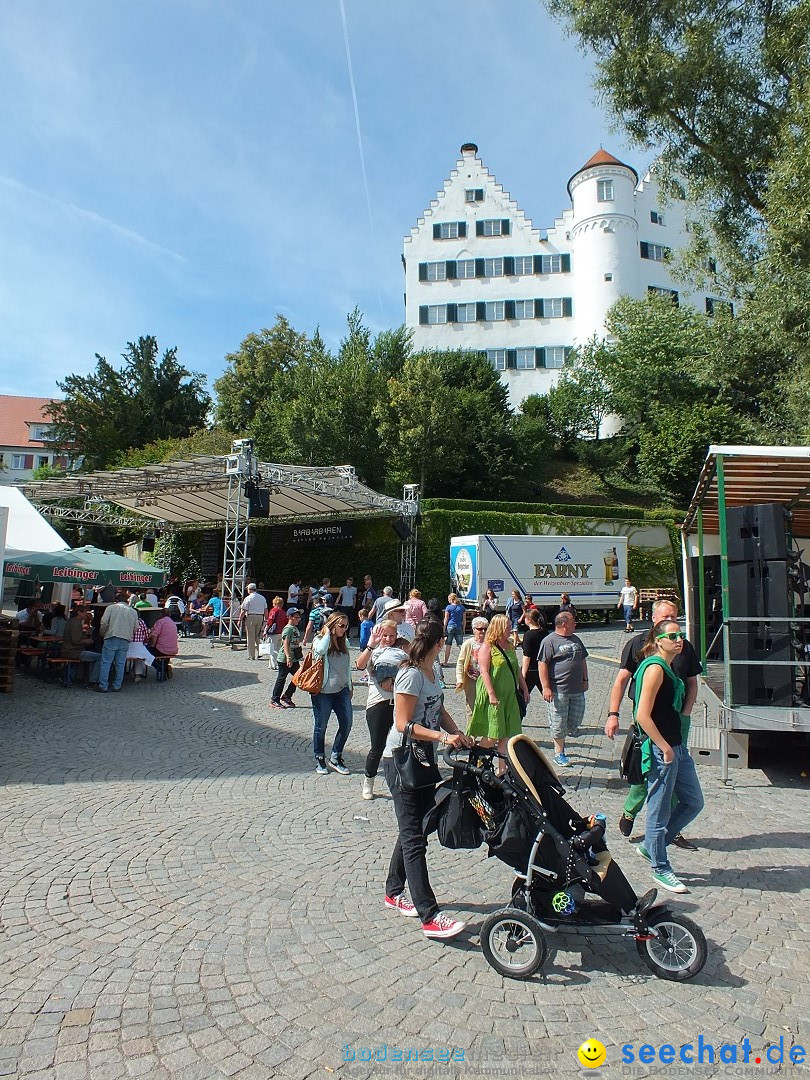 Flohmarkt: Aulendorf am Bodensee, 17.08.2014