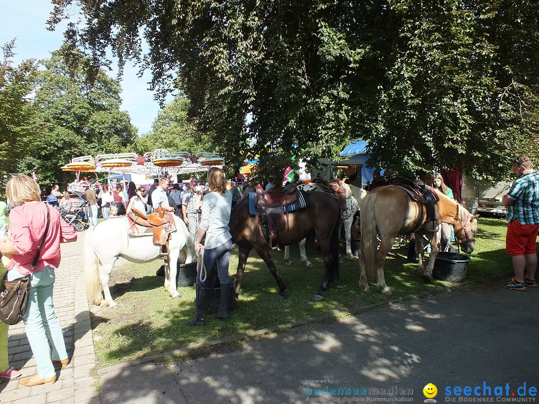 Flohmarkt: Aulendorf am Bodensee, 17.08.2014