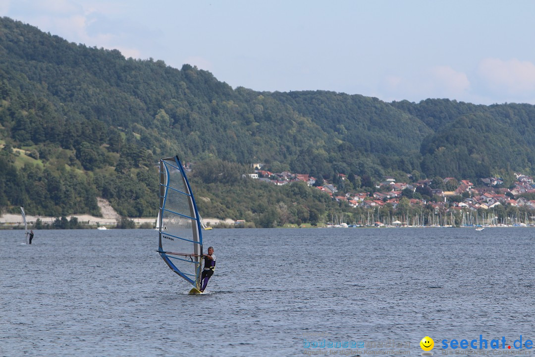 Bodenseequerung- seechat: Patrick Hotz: Bodman-Bregenz, 18.08.2014