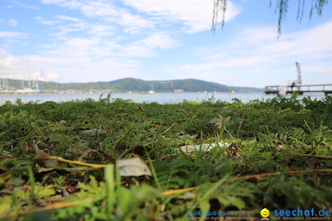 Bodenseequerung- seechat: Patrick Hotz: Bodman-Bregenz, 18.08.2014