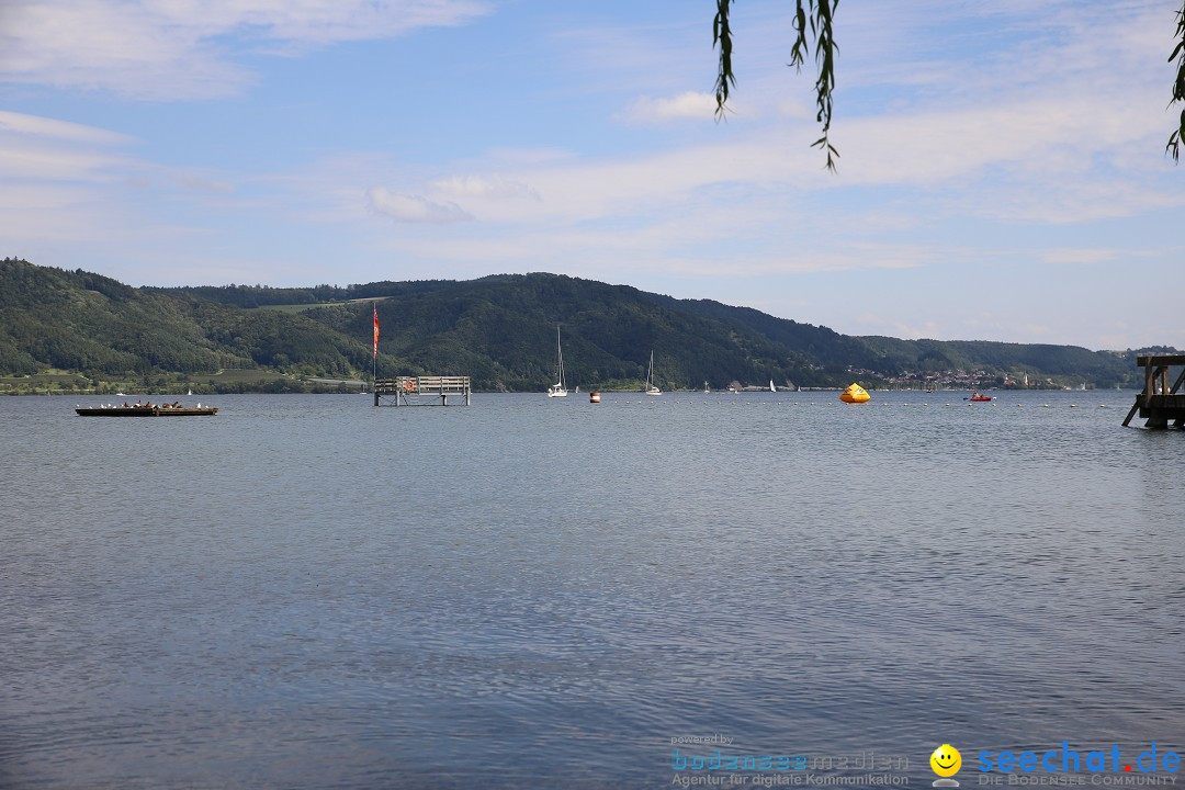 Bodenseequerung- seechat: Patrick Hotz: Bodman-Bregenz, 18.08.2014