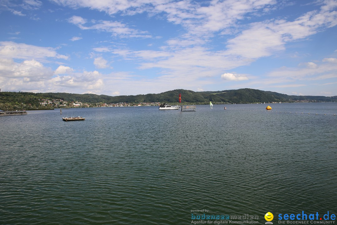 Bodenseequerung- seechat: Patrick Hotz: Bodman-Bregenz, 18.08.2014