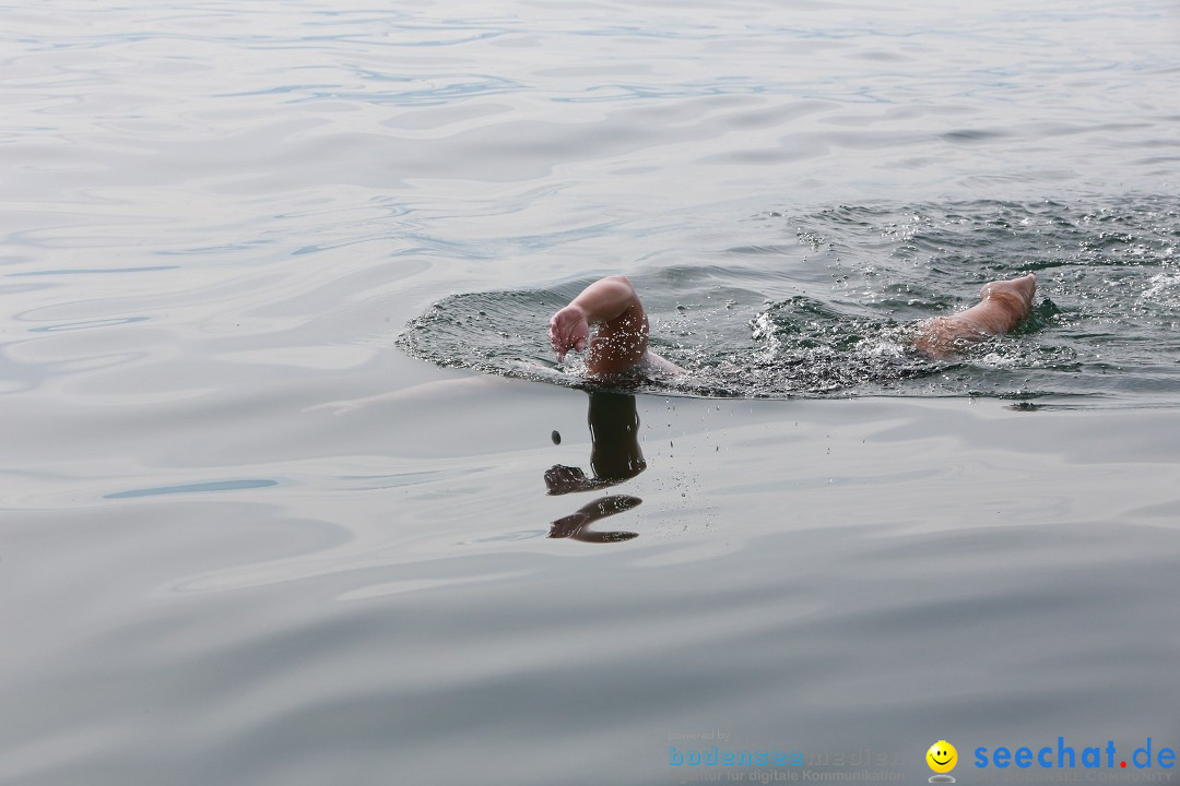 Bodenseequerung mit seechat.de Begleitboot: Jacque: Friedrichshafen, 25.08.