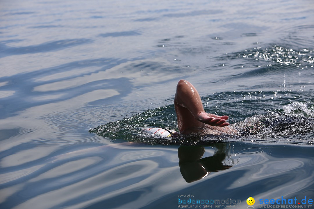 Bodenseequerung mit seechat.de Begleitboot: Jacque: Friedrichshafen, 25.08.