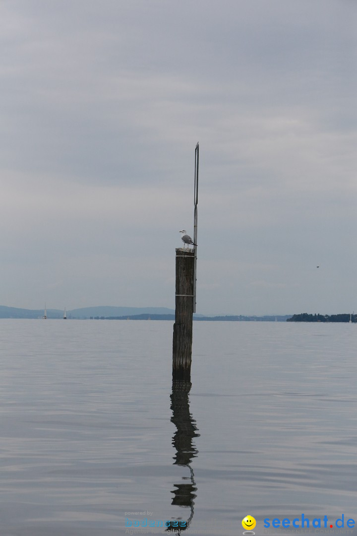 Bodenseequerung mit seechat.de Begleitboot: Jacque: Friedrichshafen, 25.08.