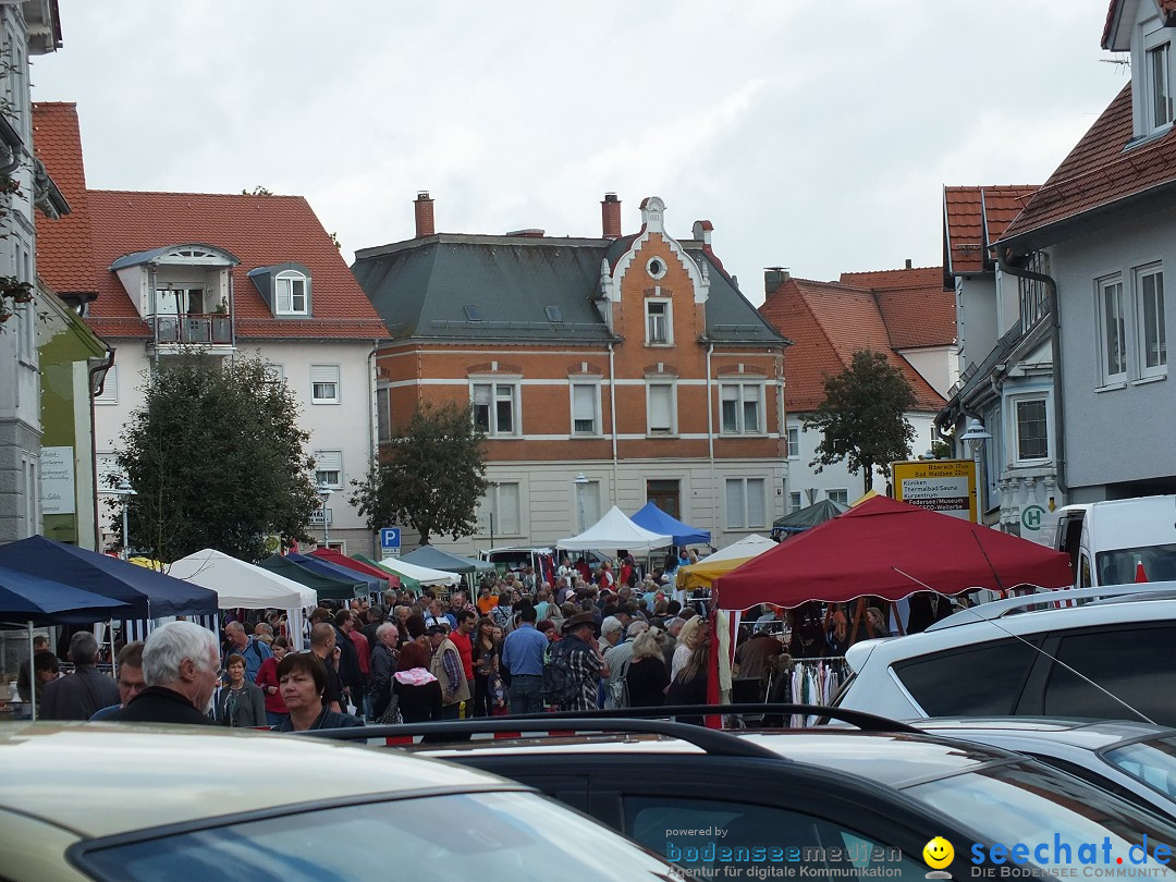 Herbstfest mit Flohmarkt: Bad Buchau, 30.08.2014