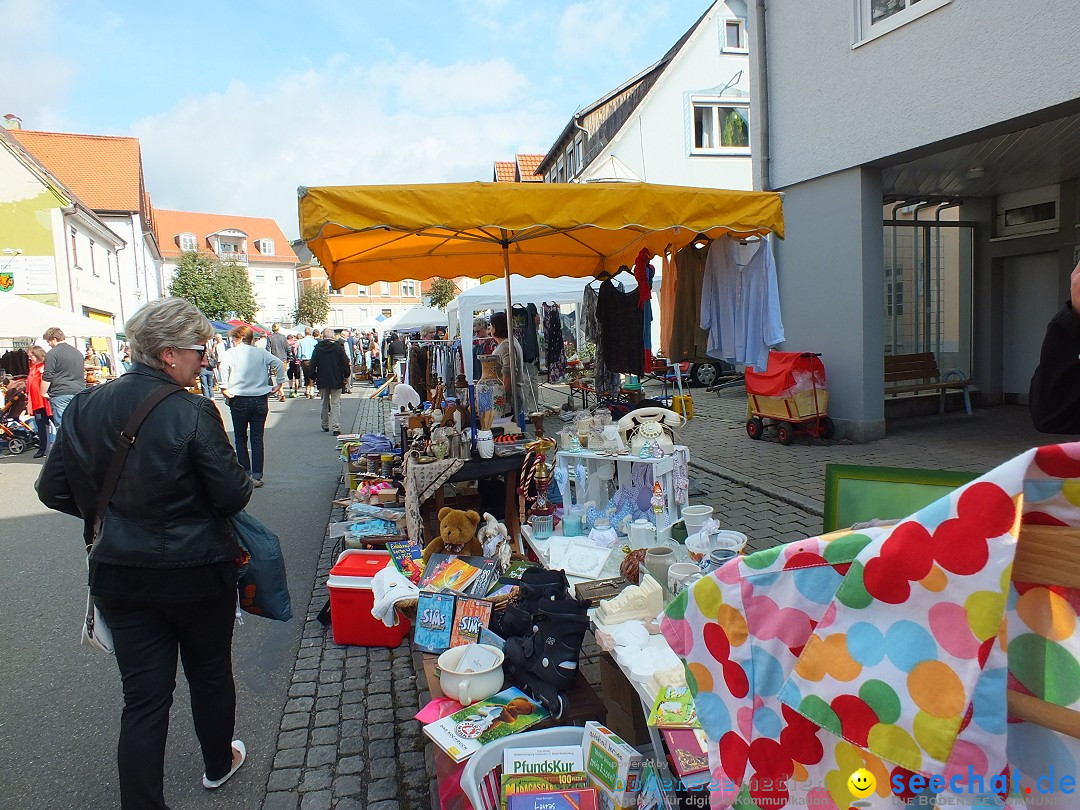 Herbstfest mit Flohmarkt: Bad Buchau, 30.08.2014