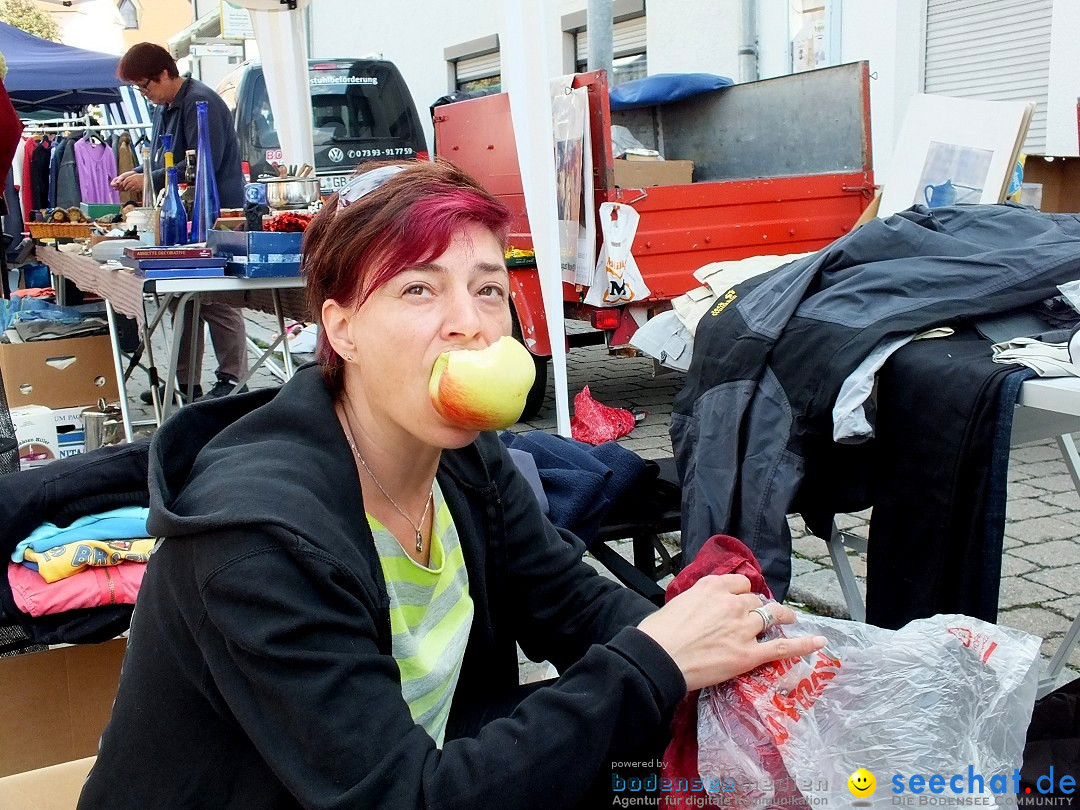 Herbstfest mit Flohmarkt: Bad Buchau, 30.08.2014