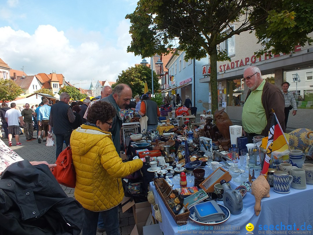 Herbstfest mit Flohmarkt: Bad Buchau, 30.08.2014