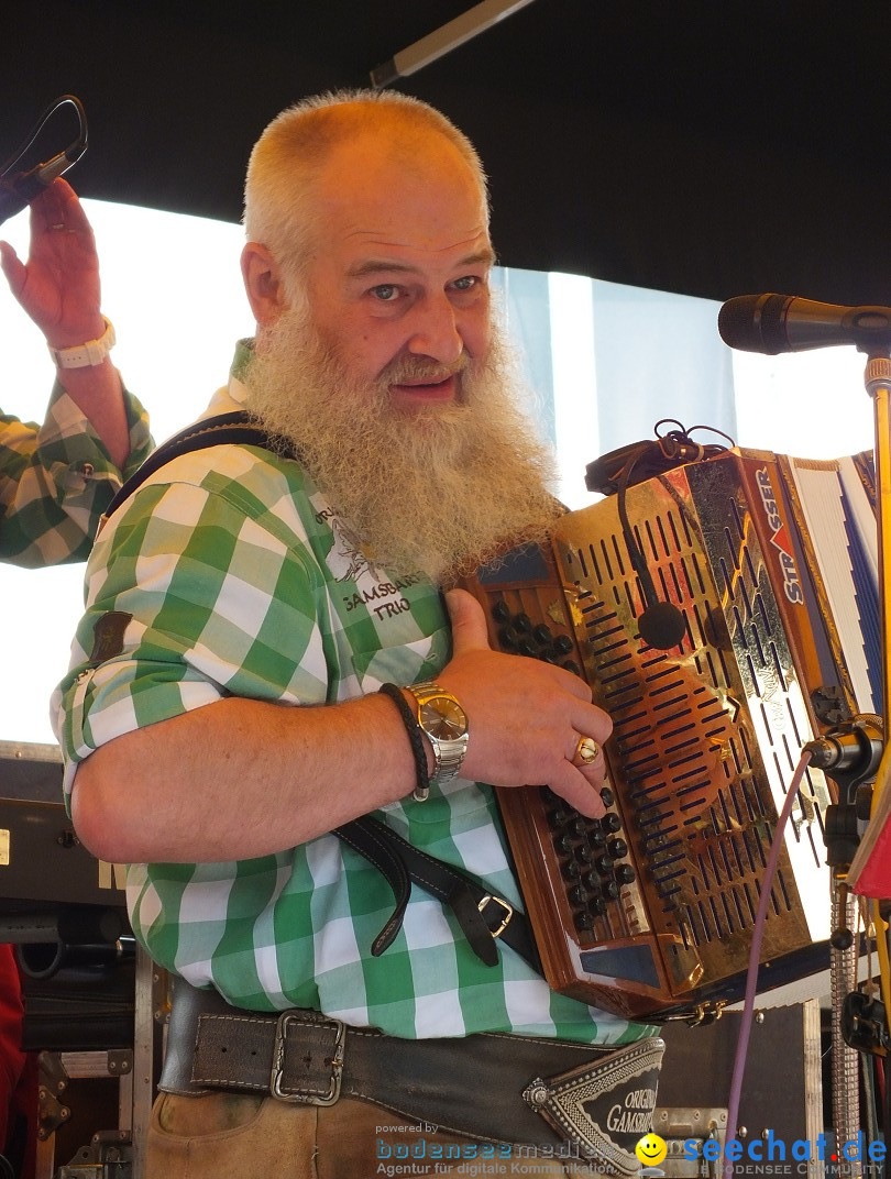 Herbstfest mit Flohmarkt: Bad Buchau, 30.08.2014