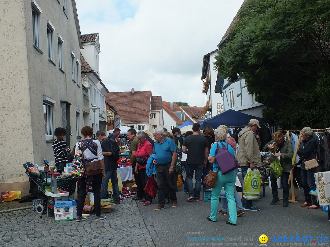 Herbstfest mit Flohmarkt: Bad Buchau, 30.08.2014