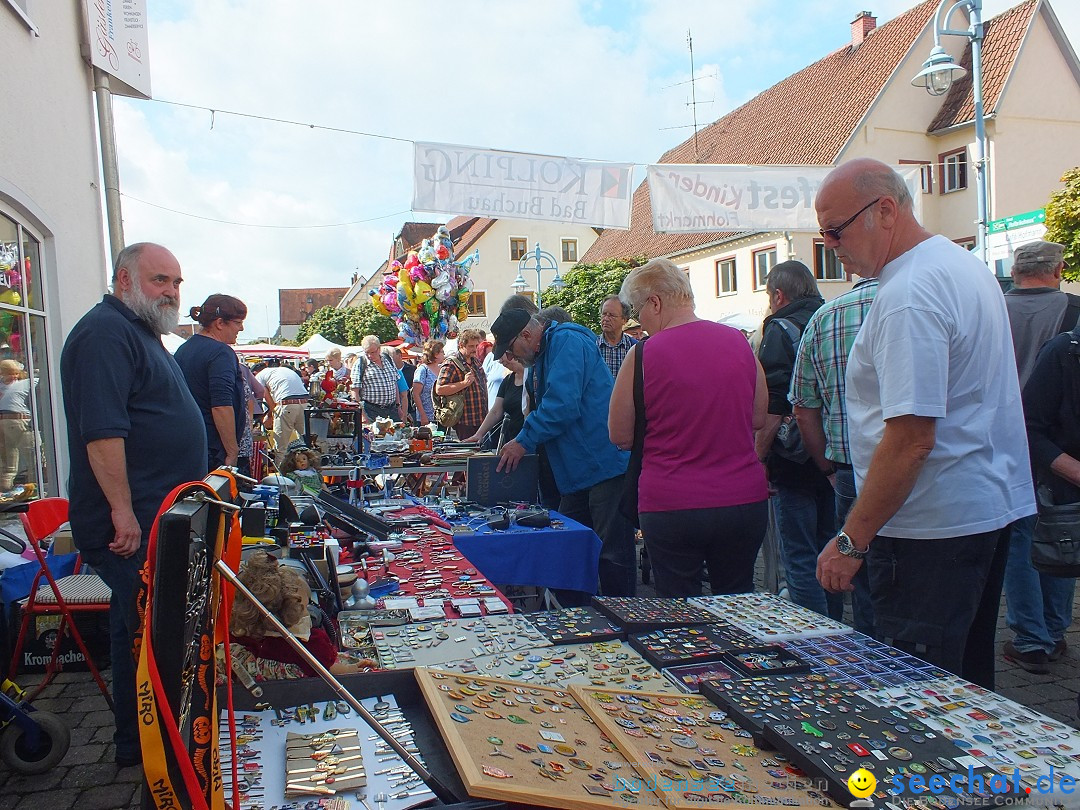 Herbstfest mit Flohmarkt: Bad Buchau, 30.08.2014