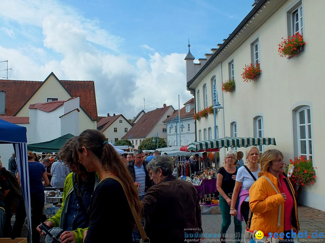 Herbstfest mit Flohmarkt: Bad Buchau, 30.08.2014