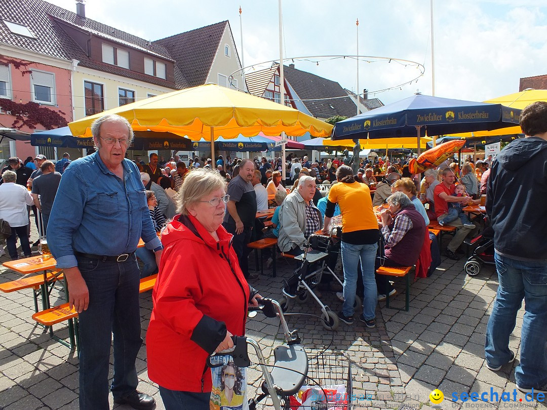 Herbstfest mit Flohmarkt: Bad Buchau, 30.08.2014