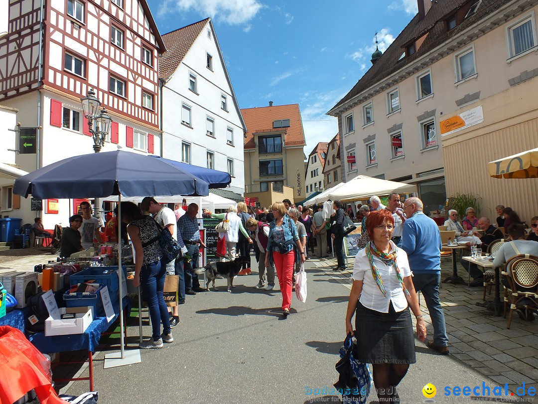 Flohmarkt: Sigmaringen am Bodensee, 30.08.2014