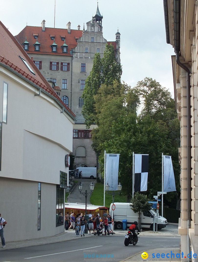 Flohmarkt: Sigmaringen am Bodensee, 30.08.2014