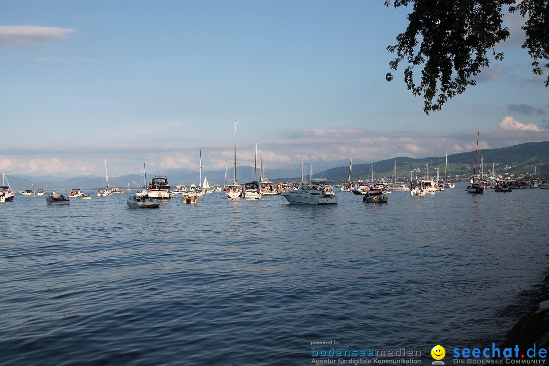 Summerdays Festival: Arbon in der Schweiz am Bodensee, 30.08.2014