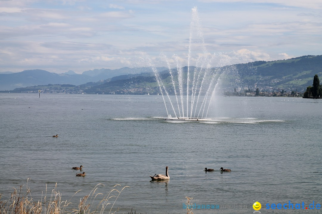 Summerdays Festival: Arbon in der Schweiz am Bodensee, 30.08.2014