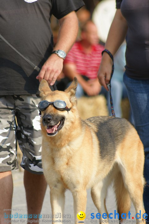 Spectaculum - 22.08.2009, Singen