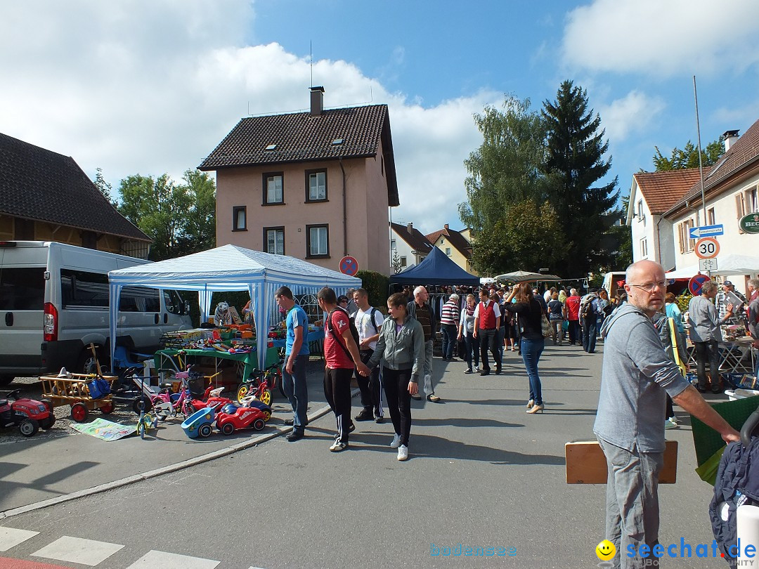 a7-TETTNANG-B_hnlesfestt-140914-14-09-2014-Bodenseecommunity-seechat_de-DSCF3805.JPG