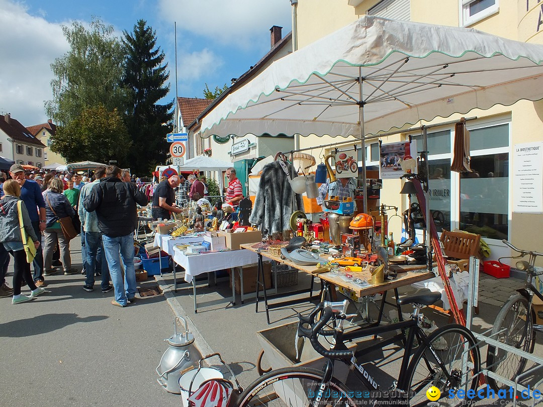 TETTNANG-B_hnlesfestt-140914-14-09-2014-Bodenseecommunity-seechat_de-DSCF3744.JPG