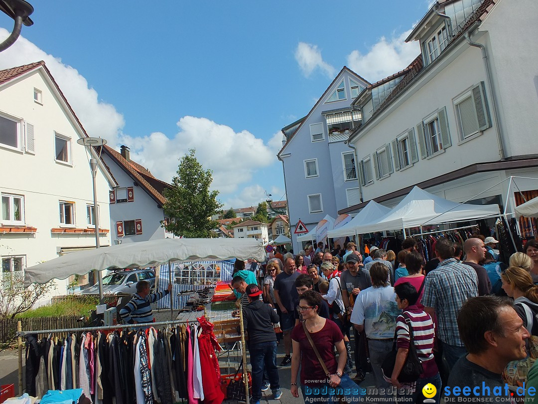 TETTNANG-B_hnlesfestt-140914-14-09-2014-Bodenseecommunity-seechat_de-DSCF3755.JPG