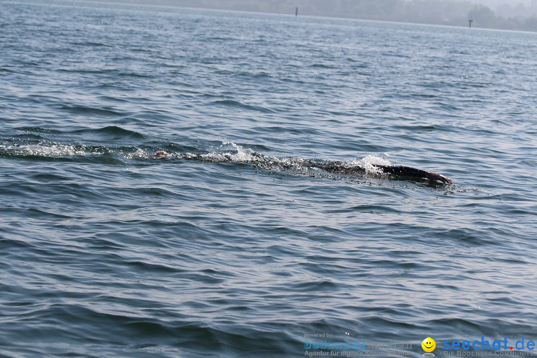 Bodenseequerung-Juergen-170914-Bodensee-Community-SEECHAT_DE-IMG_2681.JPG