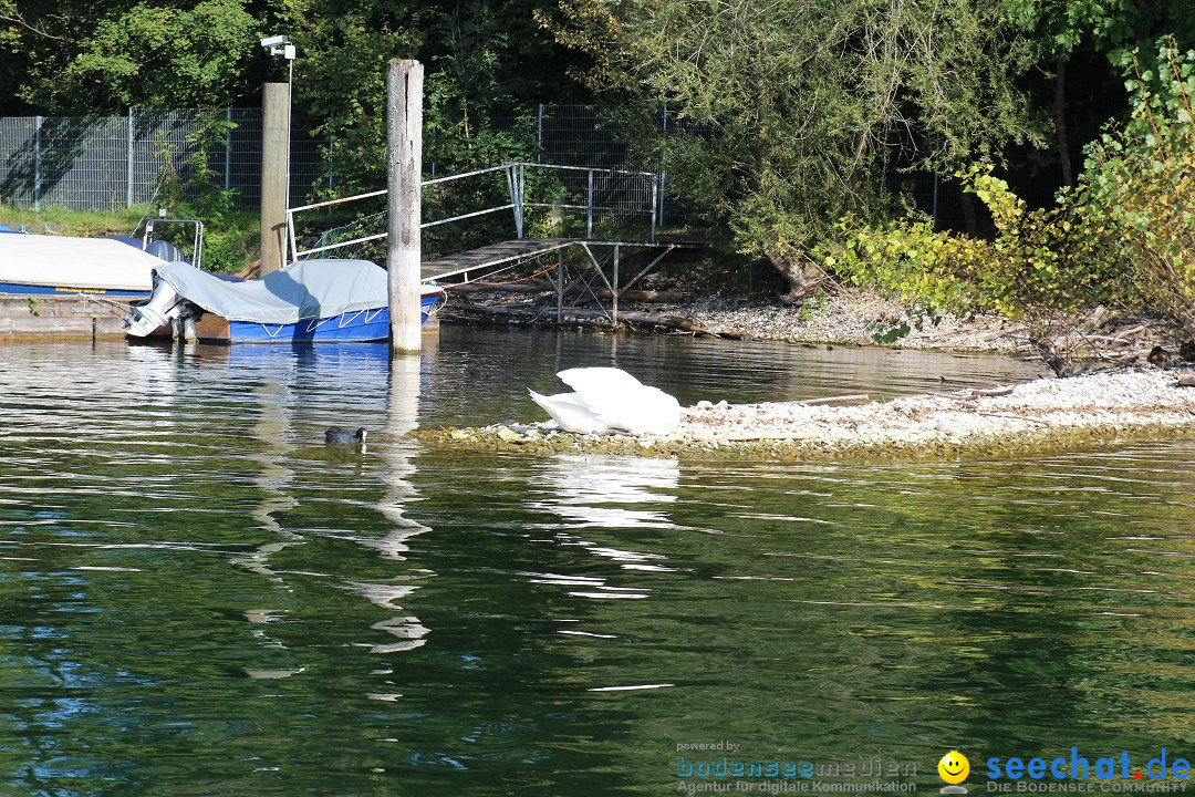 Bodenseequerung-Juergen-170914-Bodensee-Community-SEECHAT_DE-IMG_2739.JPG