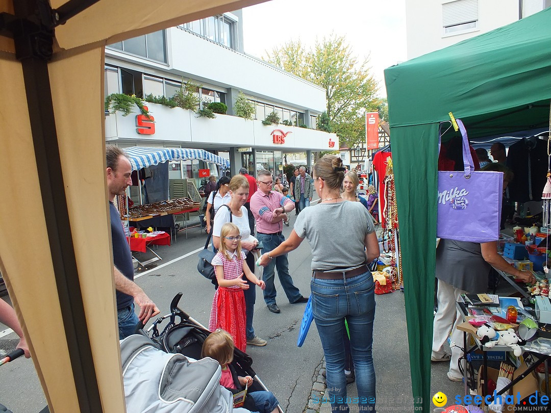 Flohmarkt und Trabbi-Treffen: Bad-Saulgau, 20.09.2014