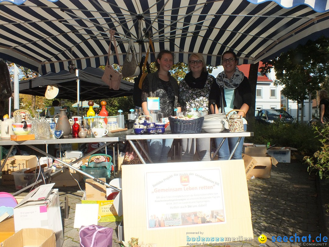 Flohmarkt und Trabbi-Treffen: Bad-Saulgau, 20.09.2014