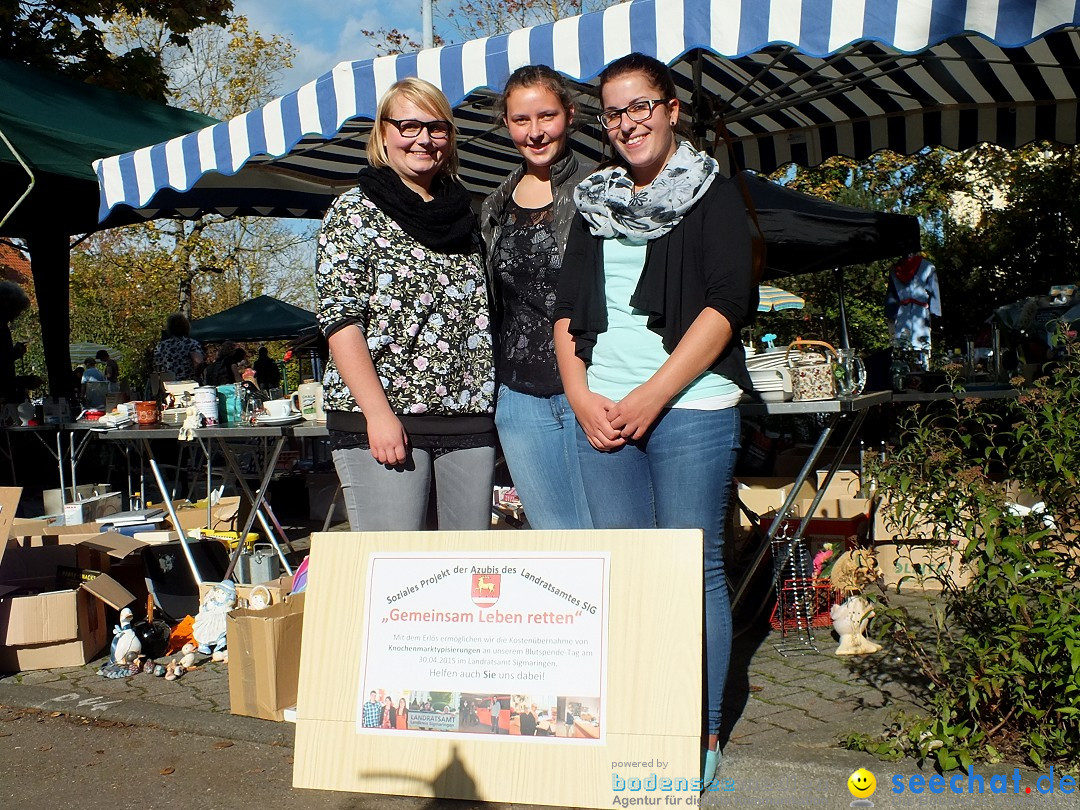 Flohmarkt und Trabbi-Treffen: Bad-Saulgau, 20.09.2014